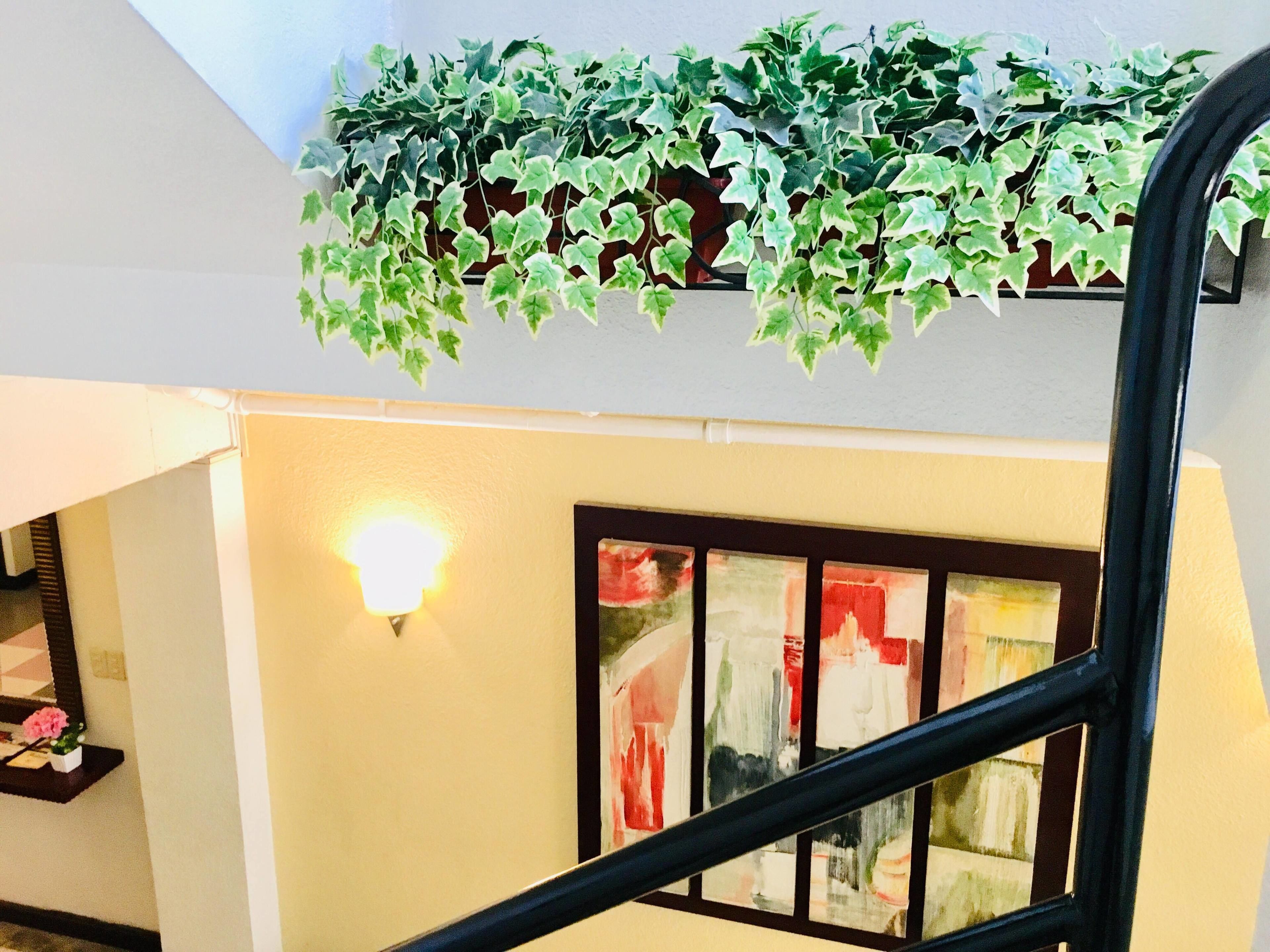Photo - Jupiter Suites