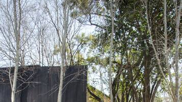 Piscina externa, espreguiçadeiras