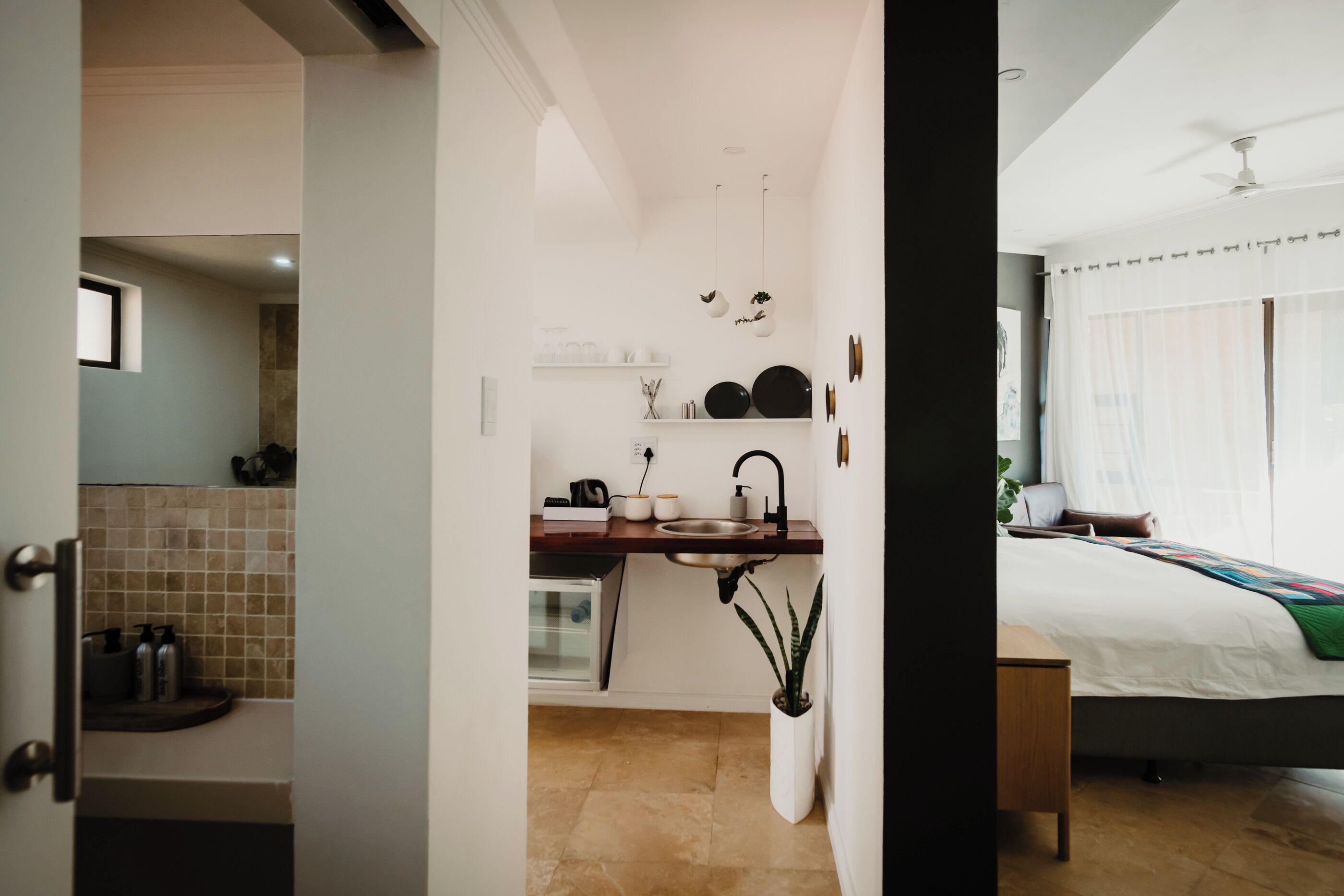 A modern kitchen with a sink, countertop, and hanging plants.