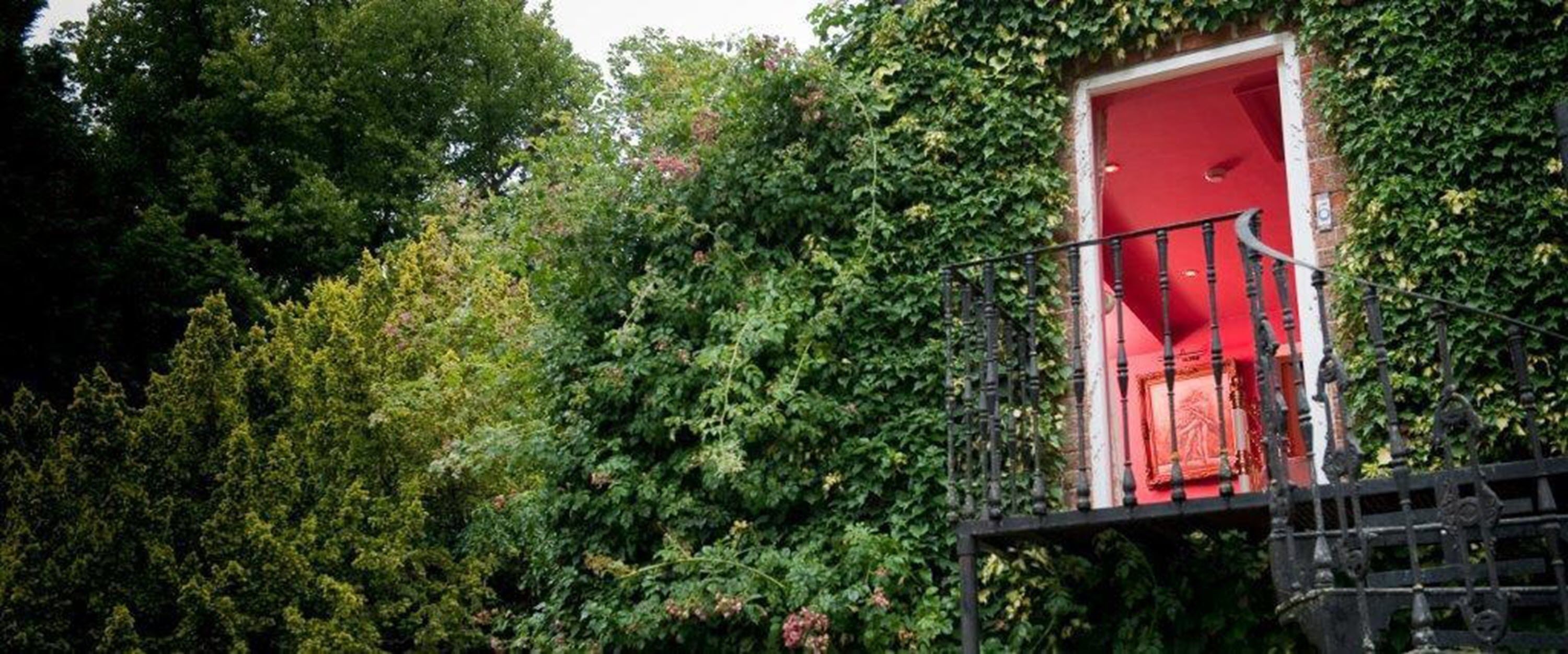 A red door leading to a balcony with a wrought iron railing, surrounded by dense foliage.