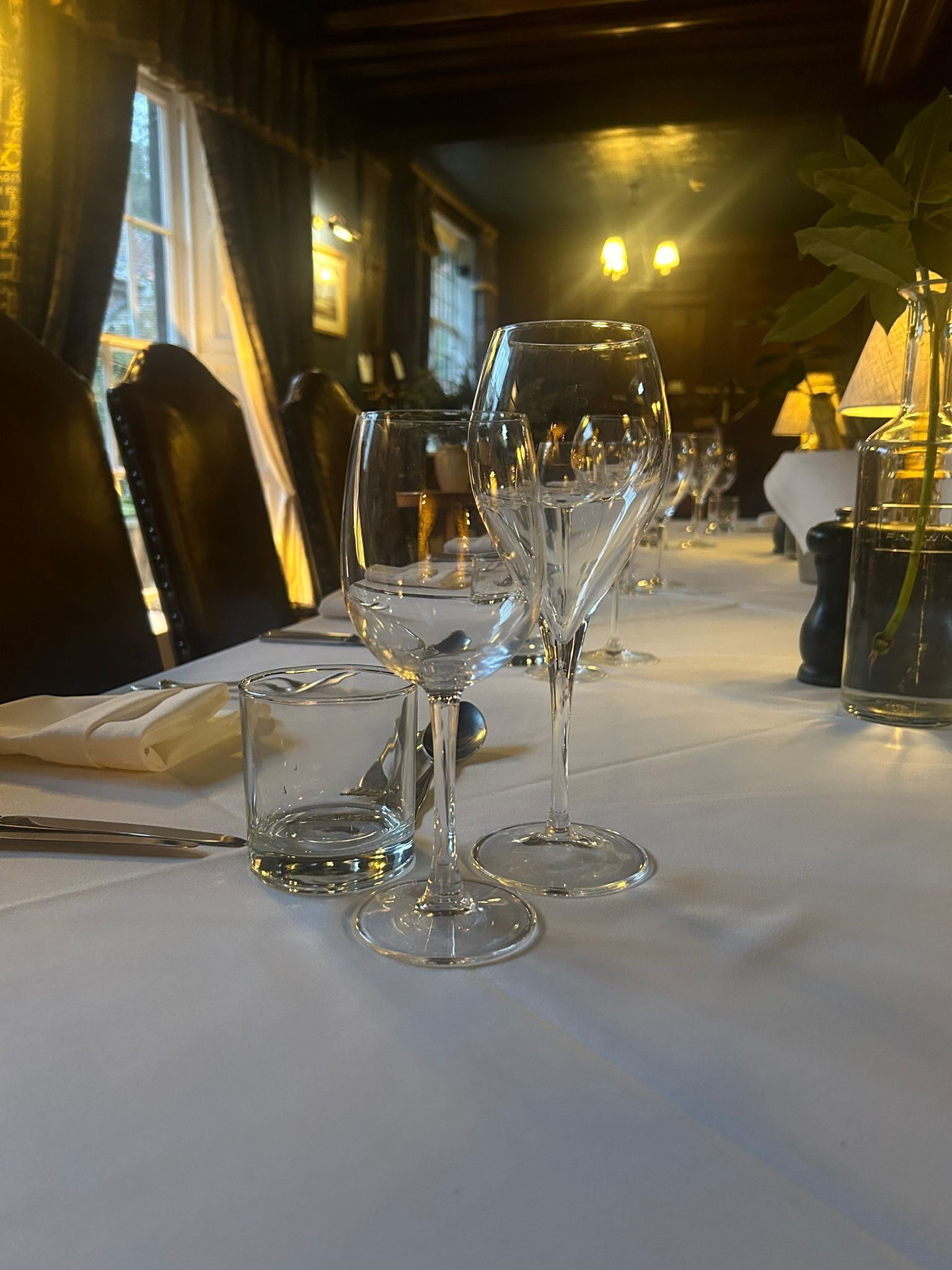 A table set with wine glasses and a small glass of water, with a plant and a candle in the background.