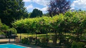 A swimming pool with a clear blue water surface, surrounded by lush greenery and trees. - Ravenwood Hall Hotel (Bury St Edmunds)