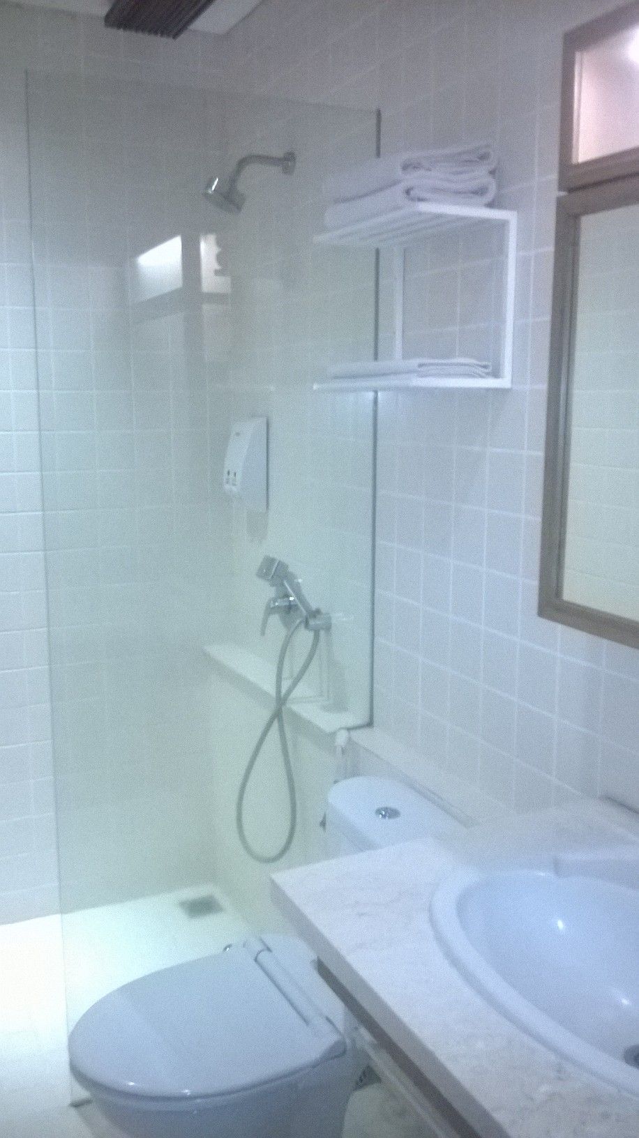 Un baño con inodoro, lavamanos y ducha.