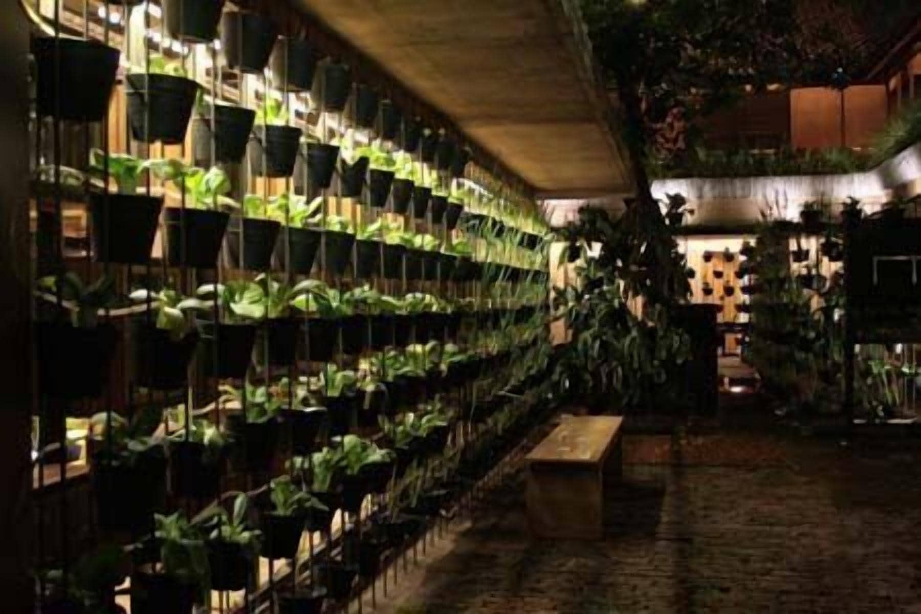 A plant nursery with shelves of potted plants.