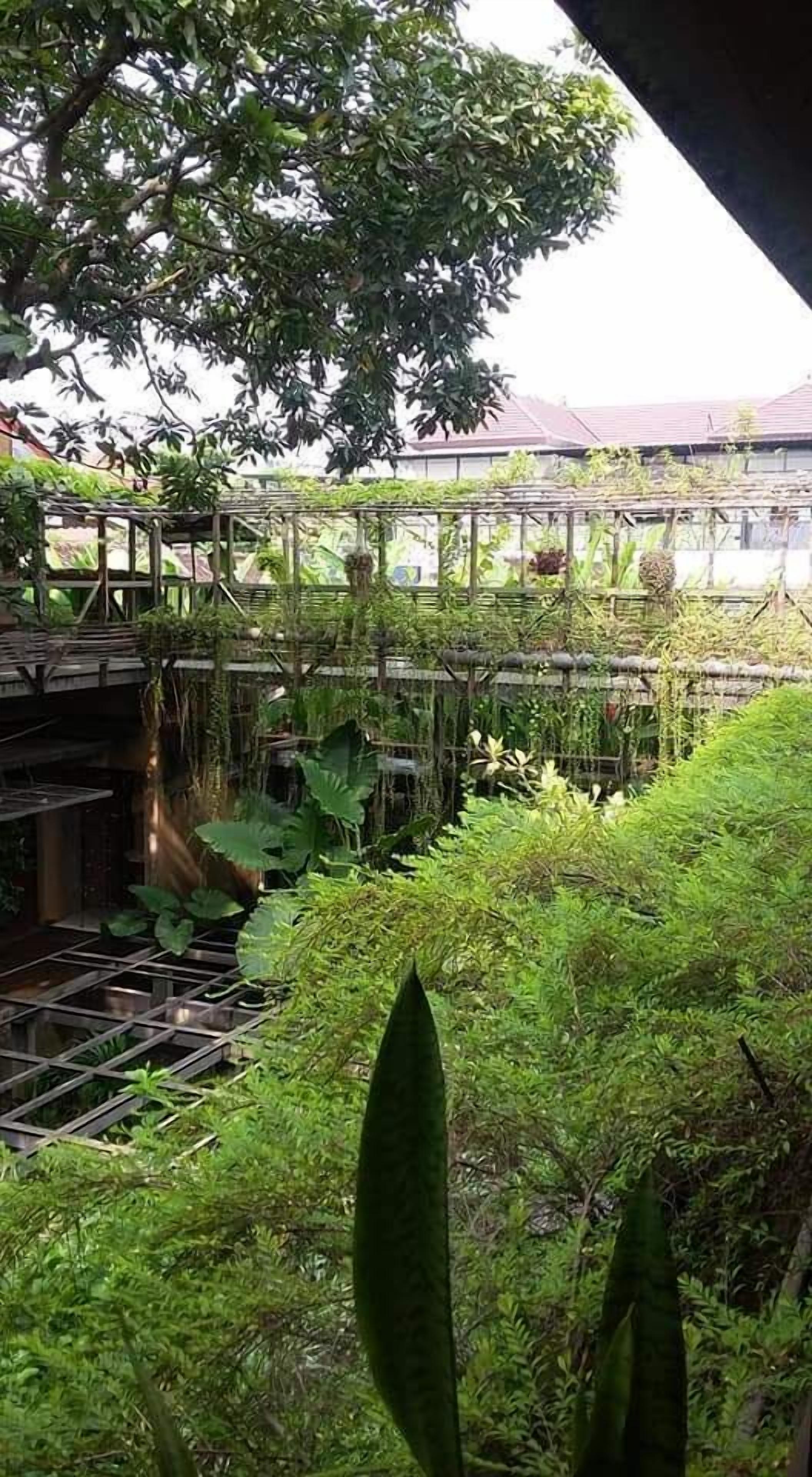 A greenhouse with various plants and a metal structure.