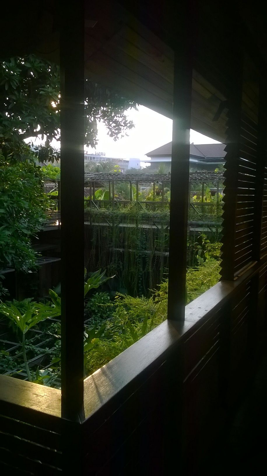 A view through a window with a wooden frame, overlooking a lush garden with various plants and a building in the background.