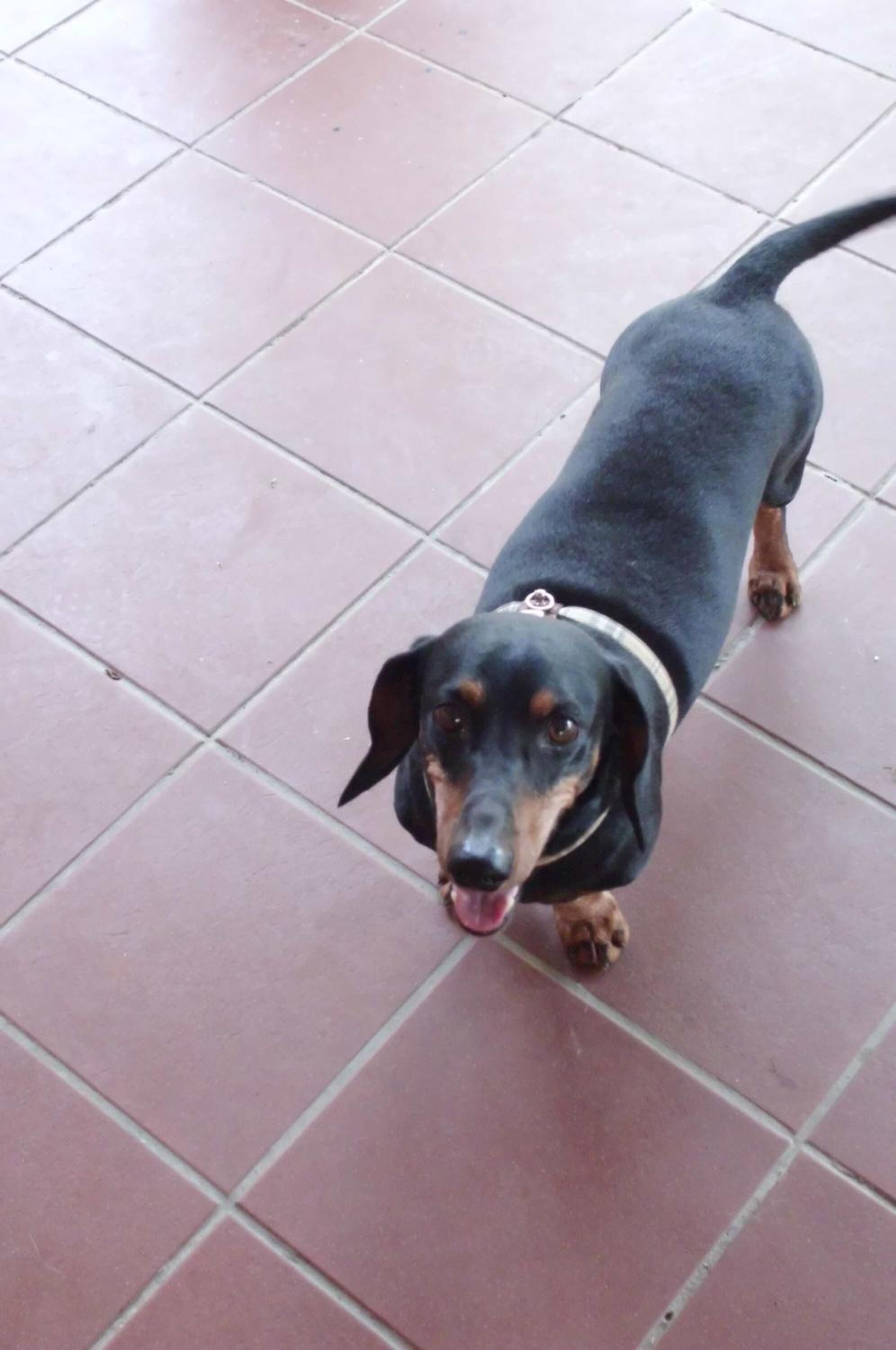 Foto - Villa Cristina