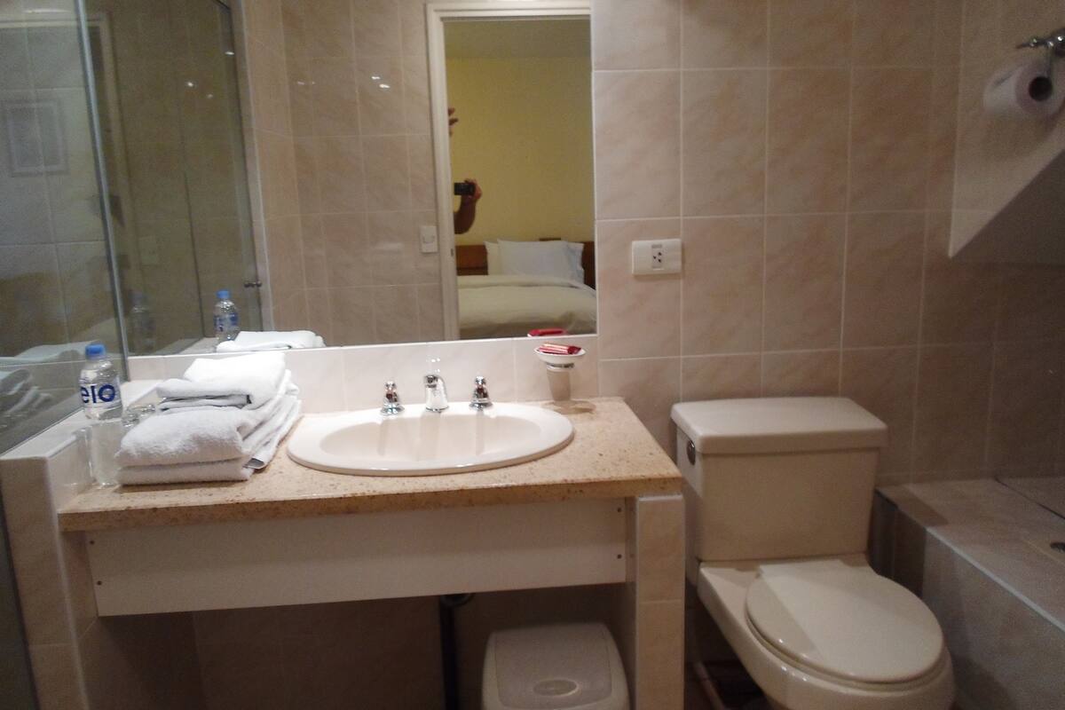 combined shower/bathtub, free toiletries, hair dryer, towels