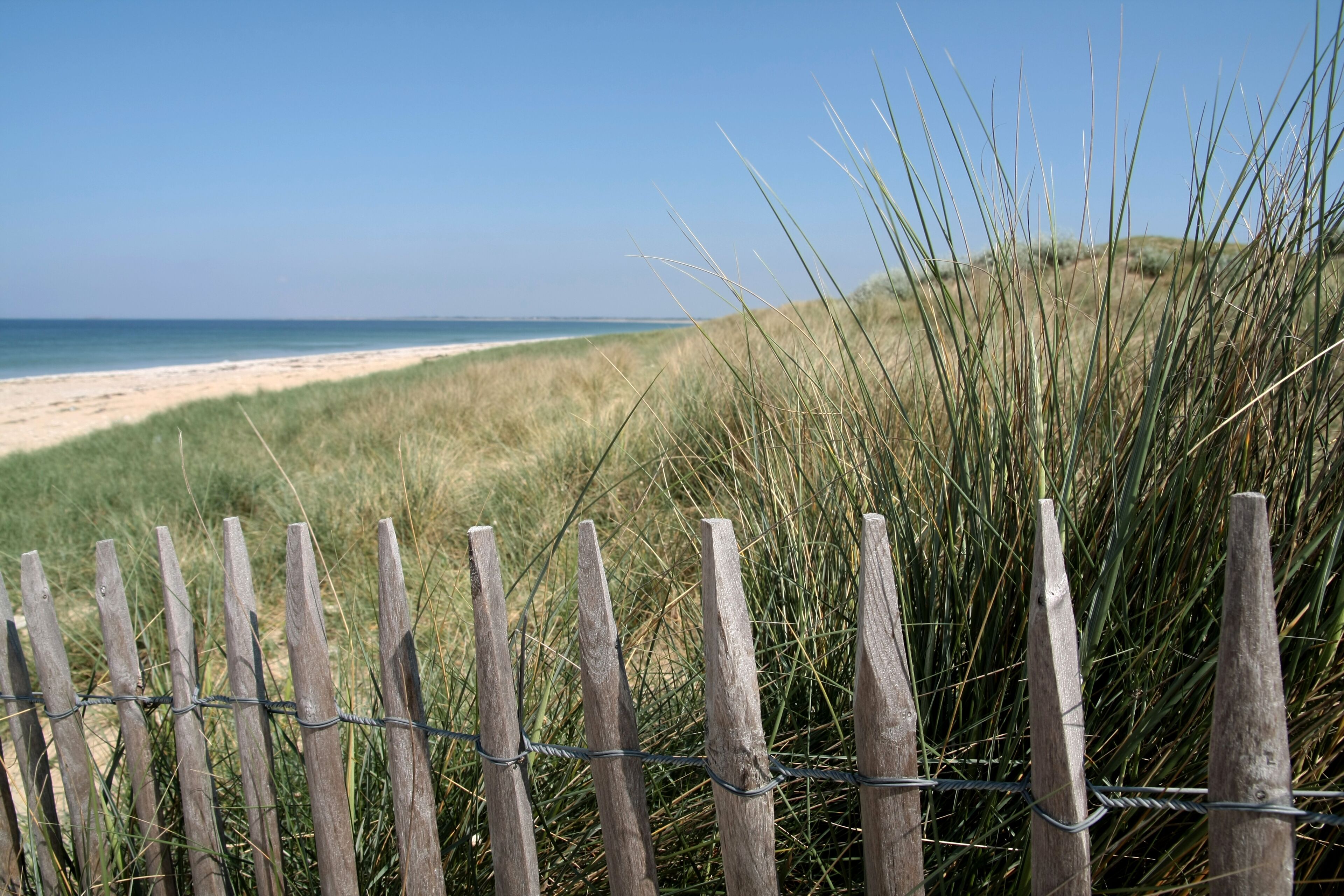 A beach with a wooden fence and tall grass in the foreground.