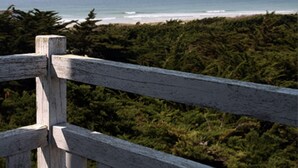 Une clôture en bois surplombe une plage, avec une végétation luxuriante au premier plan.