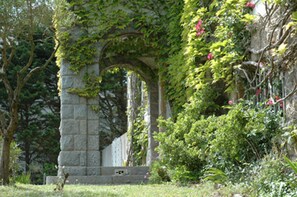 Ein steinernes Torbogen, dicht bewachsen mit Efeu und umgeben von üppigem Grün.