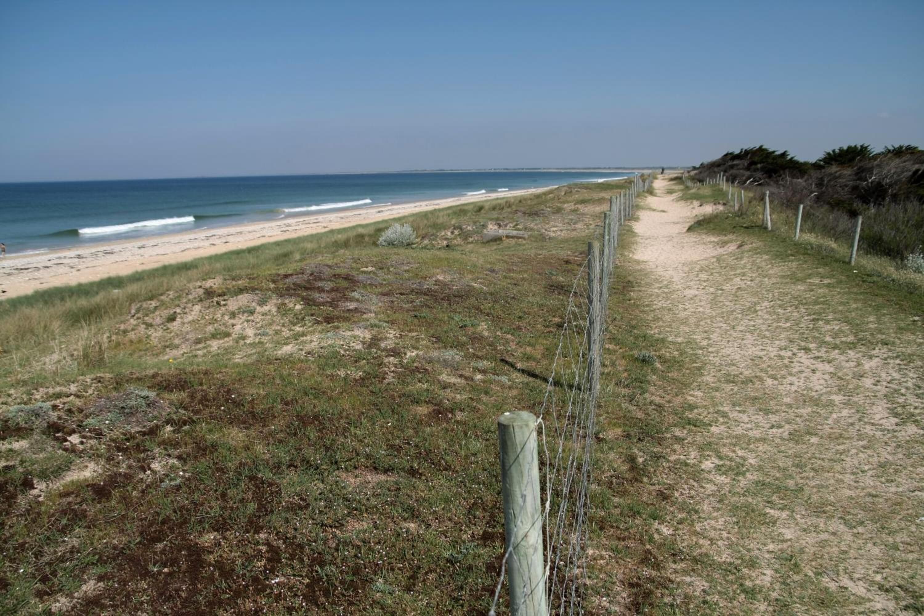 Un sentier bordant la plage, avec une clôture en bois et une vue dégagée sur l’océan.