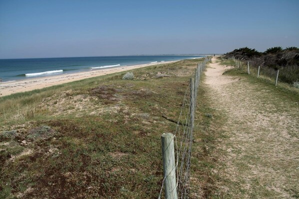Un sentier bordant la plage, avec une clôture en bois et une vue dégagée sur l’océan.