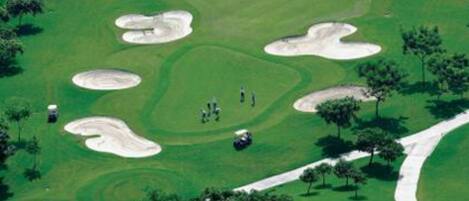 Ein Golfplatz mit Sandbunkern, Bäumen und einem gewundenen Weg.
