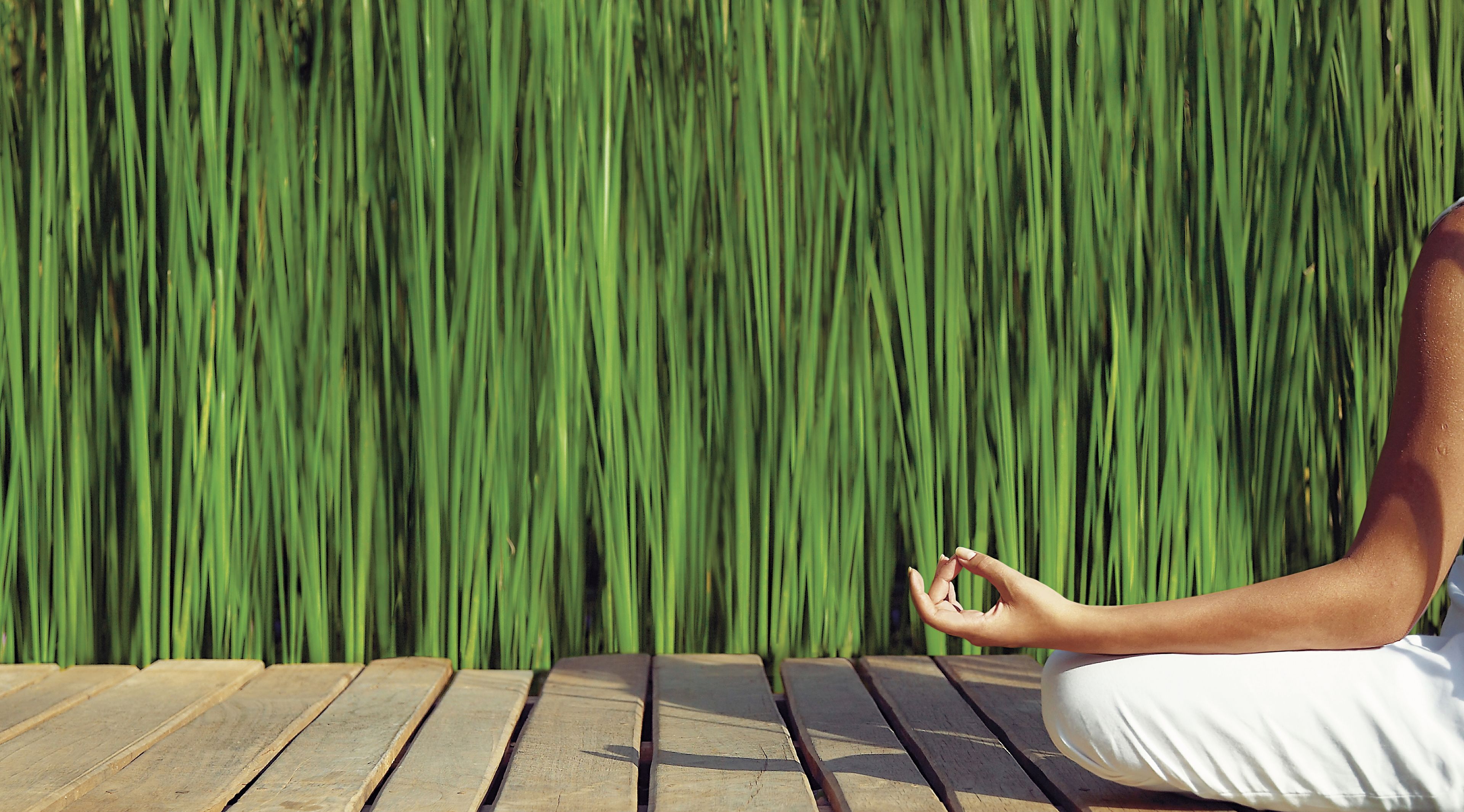 sauna, hot tub, turkish bath/hammam, body treatments, hydrotherapy