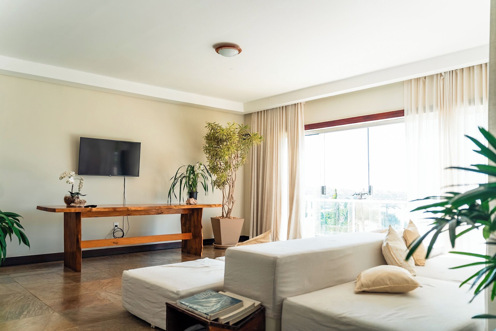 A living room with a sofa, a coffee table, a TV, and a potted plant.