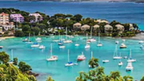 A coastal view with a marina filled with boats, buildings, and lush greenery. - Cruz Bay Boutique Hotel (St. John)