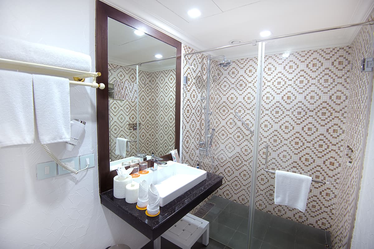 combined shower/bathtub, hydromassage showerhead, free toiletries