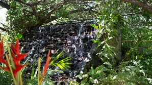 A natural rock formation with a small waterfall surrounded by dense foliage. - Eco Torarica (Paramaribo)
