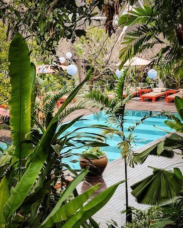 Outdoor pool, pool umbrellas