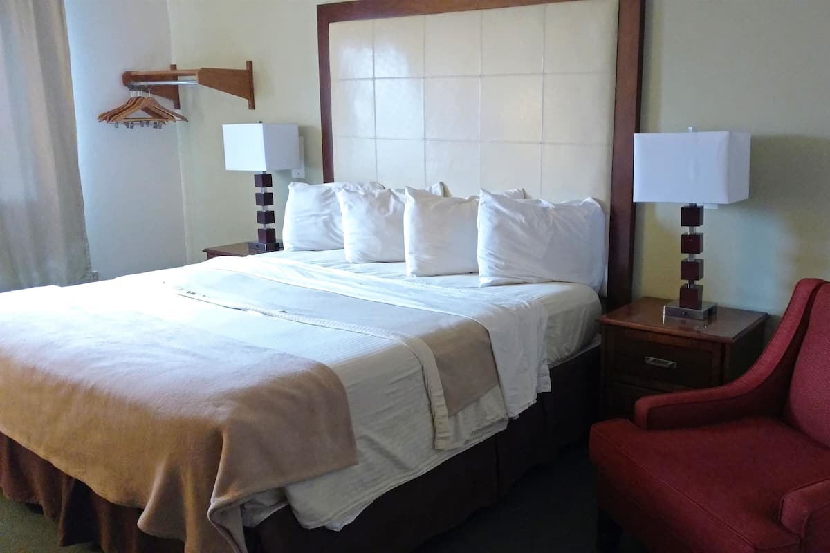 Kamar, 1 Tempat Tidur King, Bebas Asap Rokok | Meja kerja, tempat tidur lipat/tambahan, Wi-Fi gratis, dan jam alarm