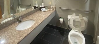 Tropicana Inn and Suites