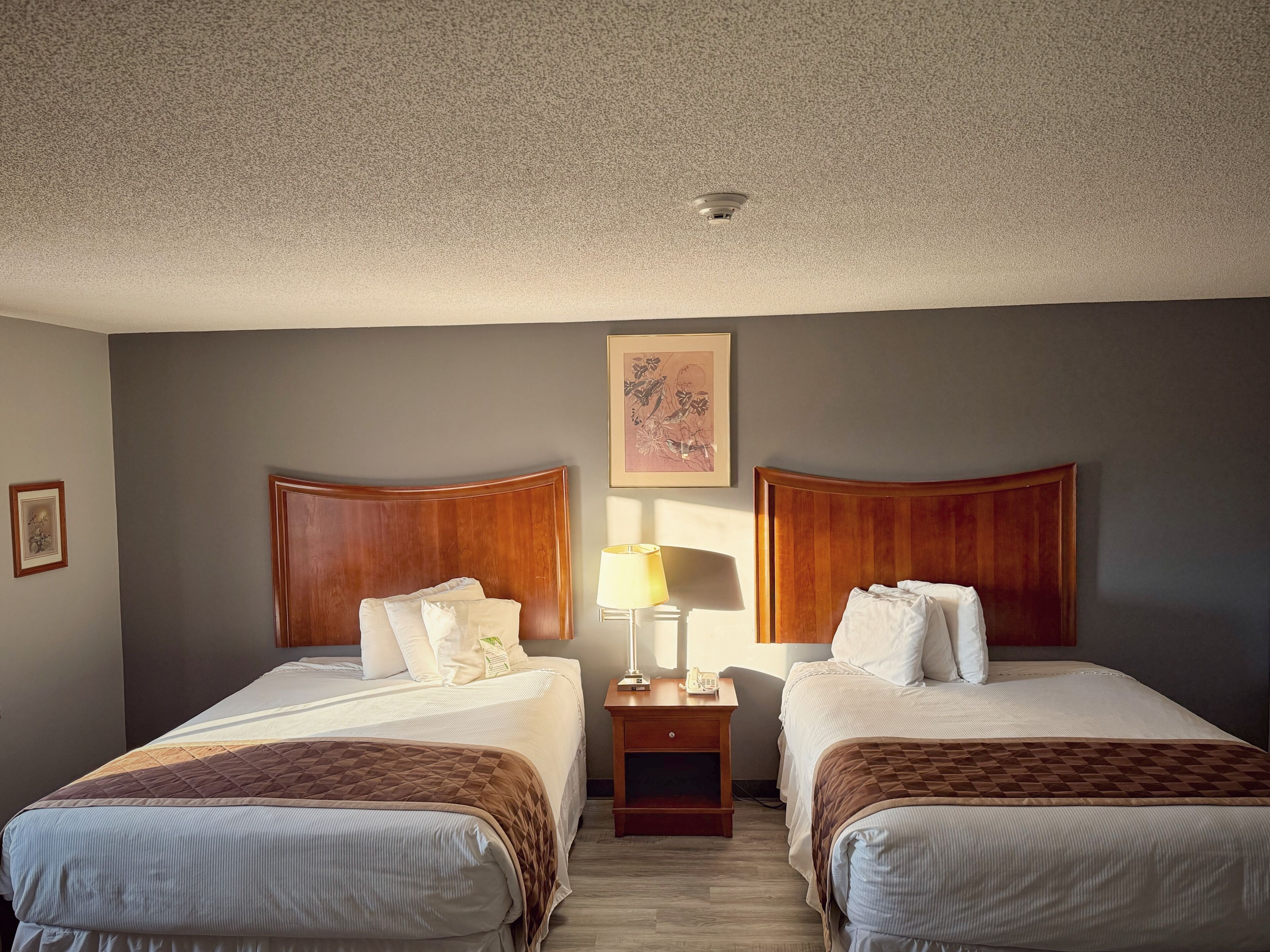 A hotel room with two beds, a nightstand with a lamp, and a ceiling light.