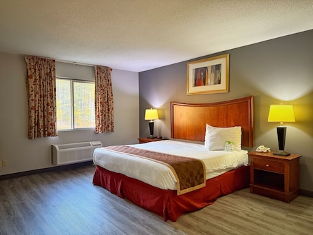 遮光窗帘、隔音、熨斗/熨衣板、免费 WiFi