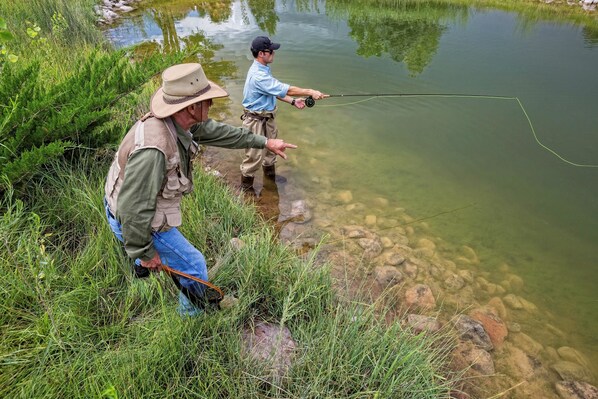 Two people fishing by a clear pond with rocks and grass.