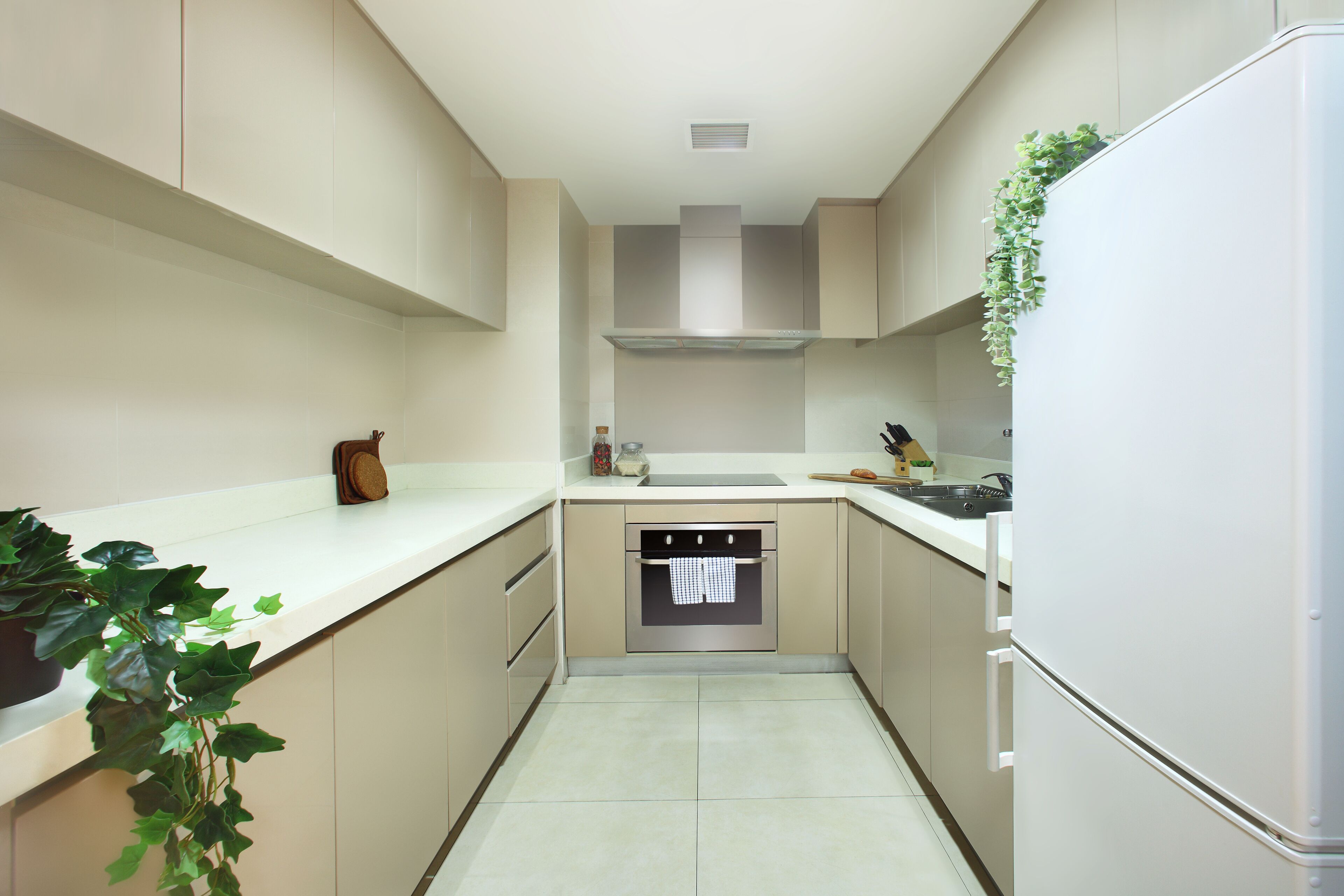 Une cuisine moderne avec des meubles de couleur beige, un four en acier inoxydable, un plan de travail blanc et une plante suspendue.