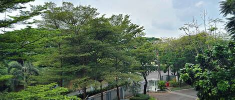 A parking area with cars, surrounded by lush greenery and trees.