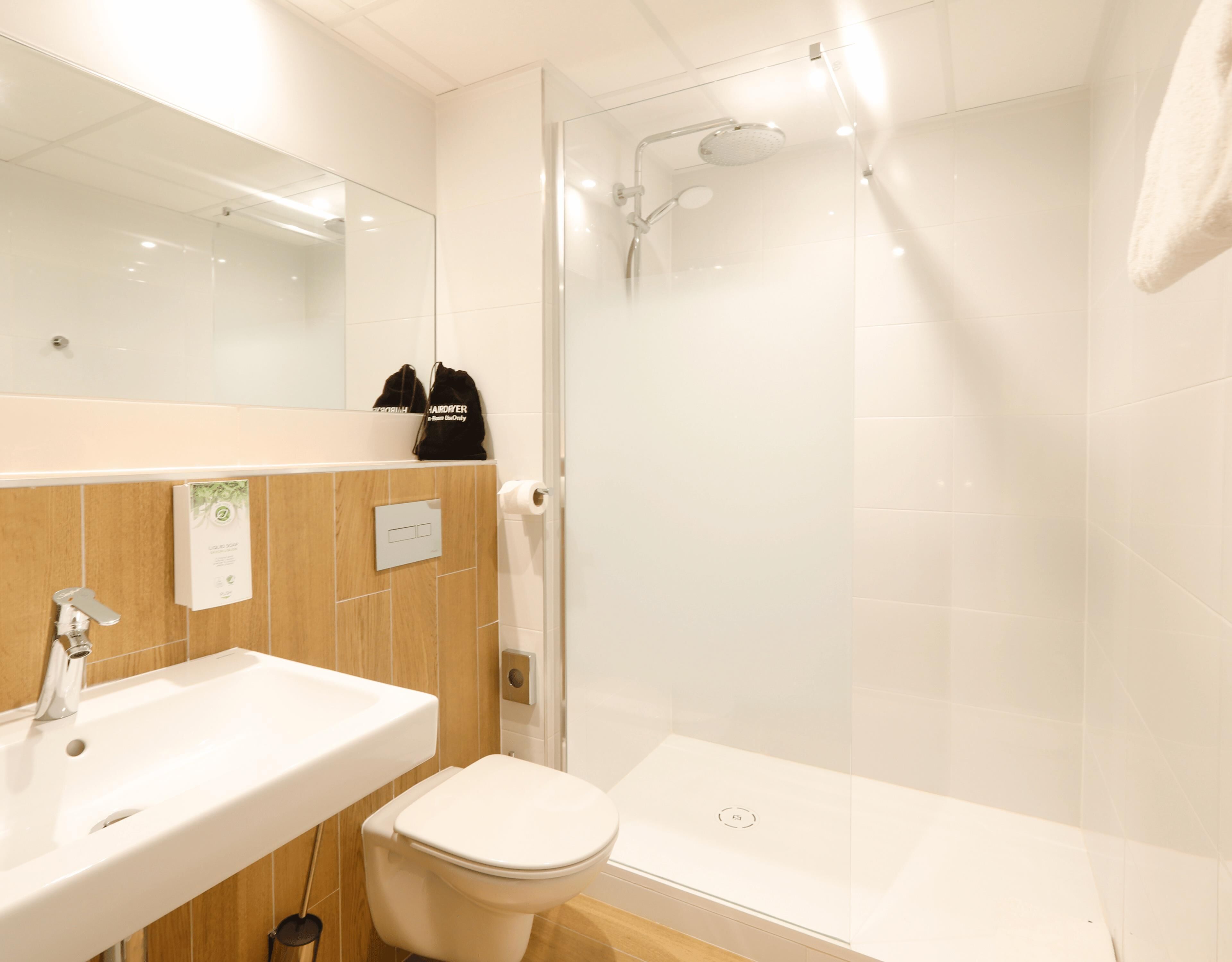Une salle de bain avec un lavabo, des toilettes et une douche.
