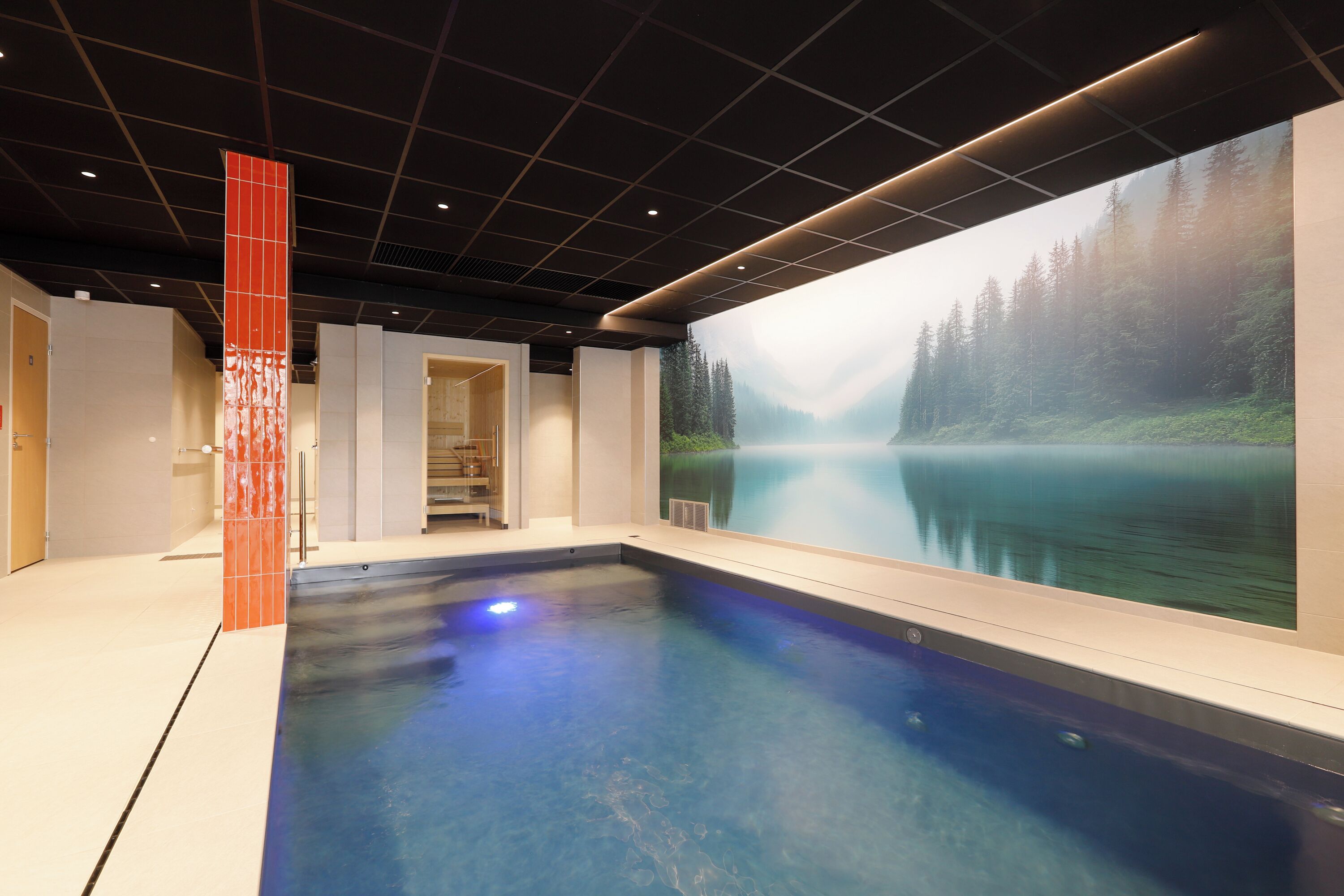 A modern indoor pool with a serene forest mural on the wall.