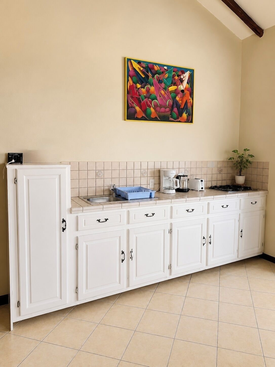 A kitchen with white cabinets, a tiled backsplash, a coffee maker, and a potted plant.