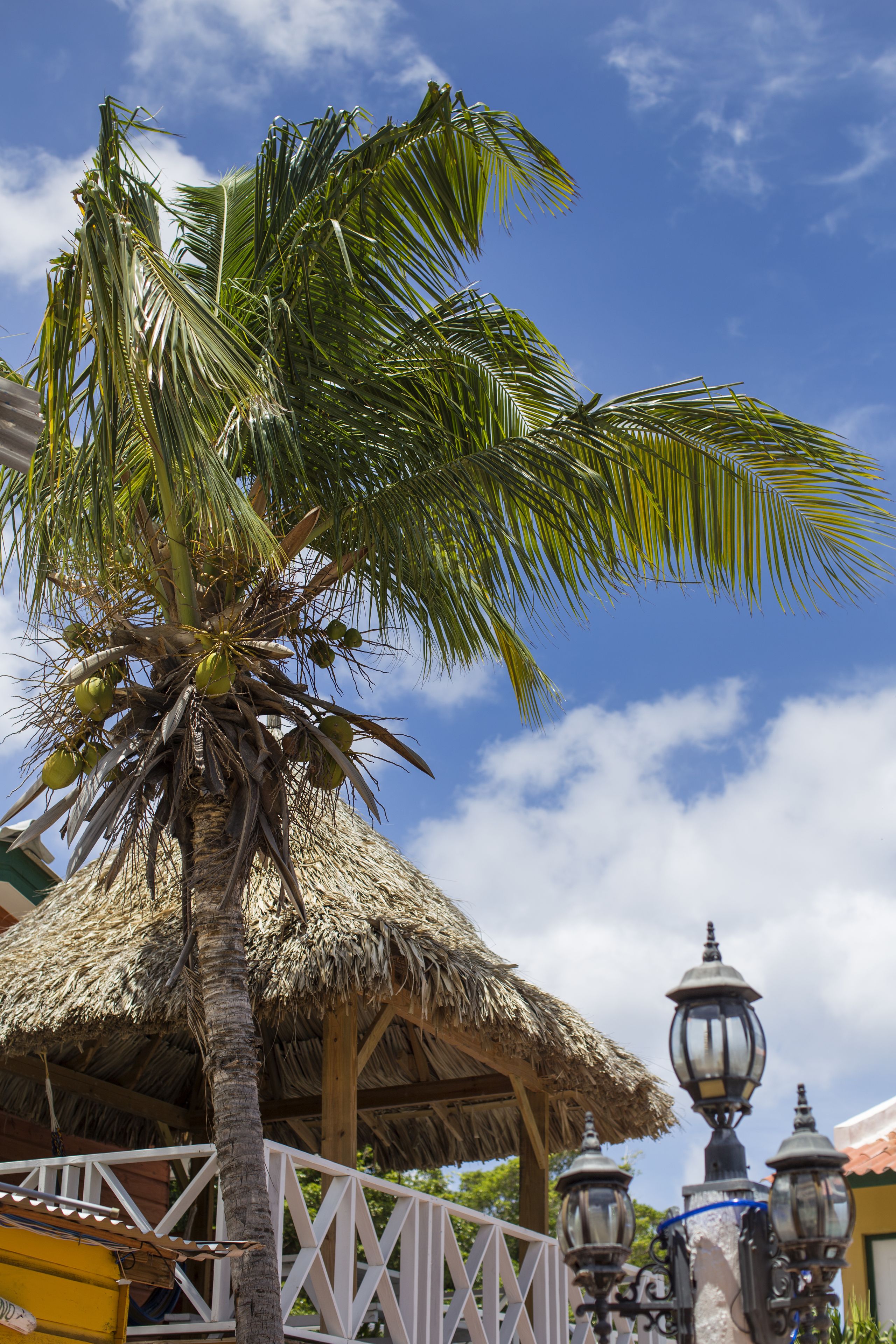 이그제큐티브 라운지