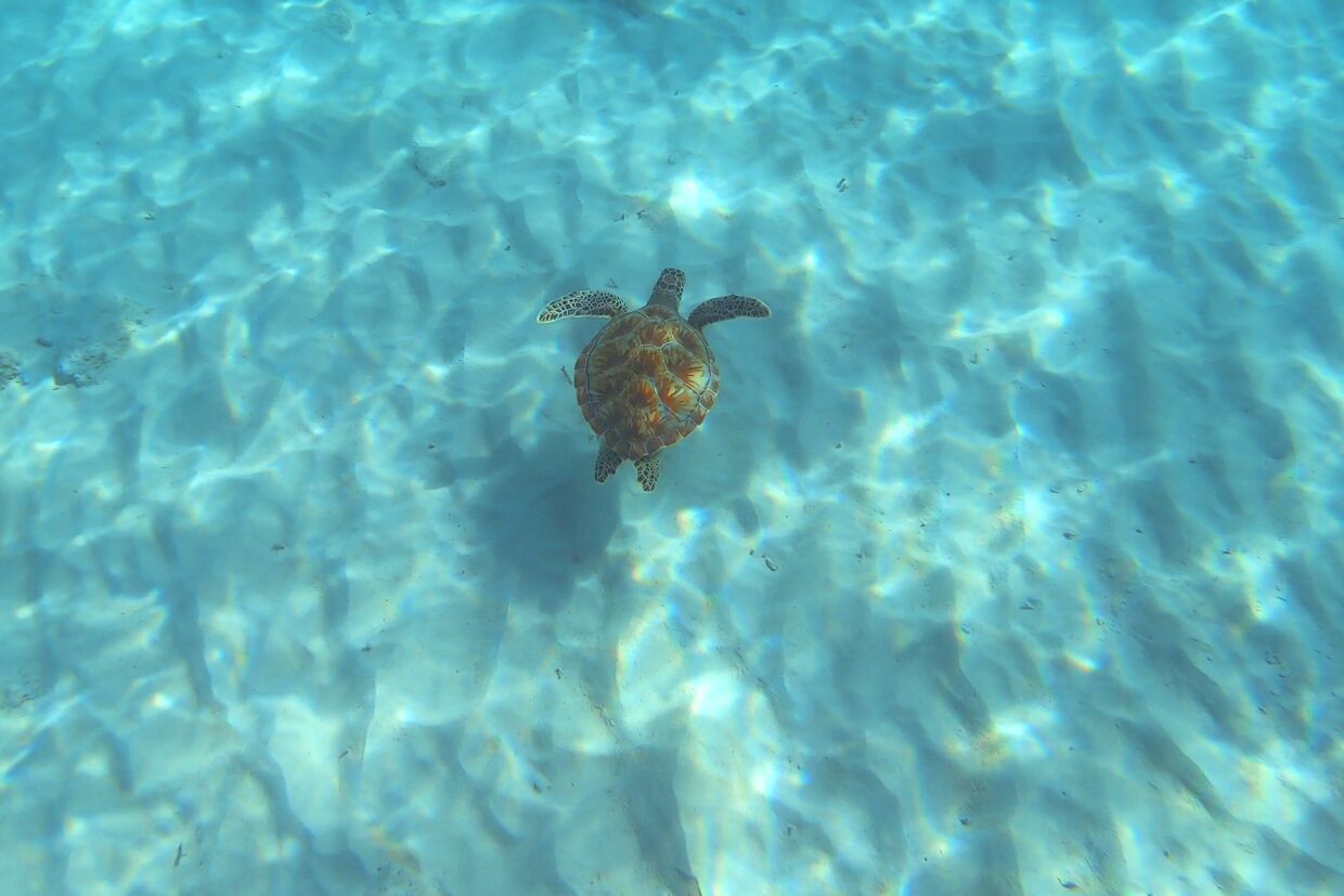 children’s activities