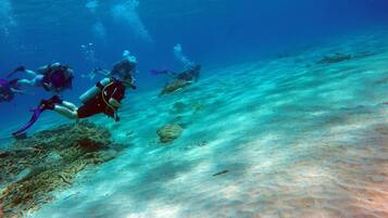 An underwater scene with divers exploring a coral reef.