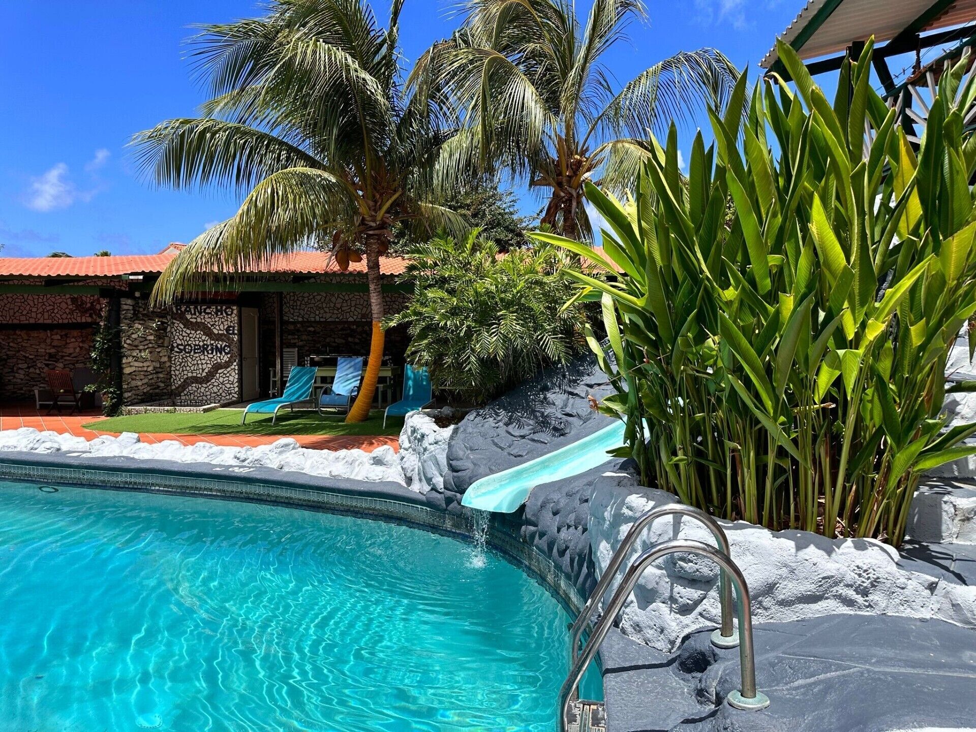 A swimming pool with clear blue water, surrounded by tropical plants and a stone wall.
