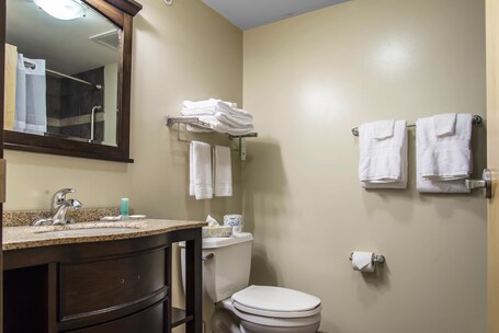 Mainstay Suites Winnipeg - Image 8