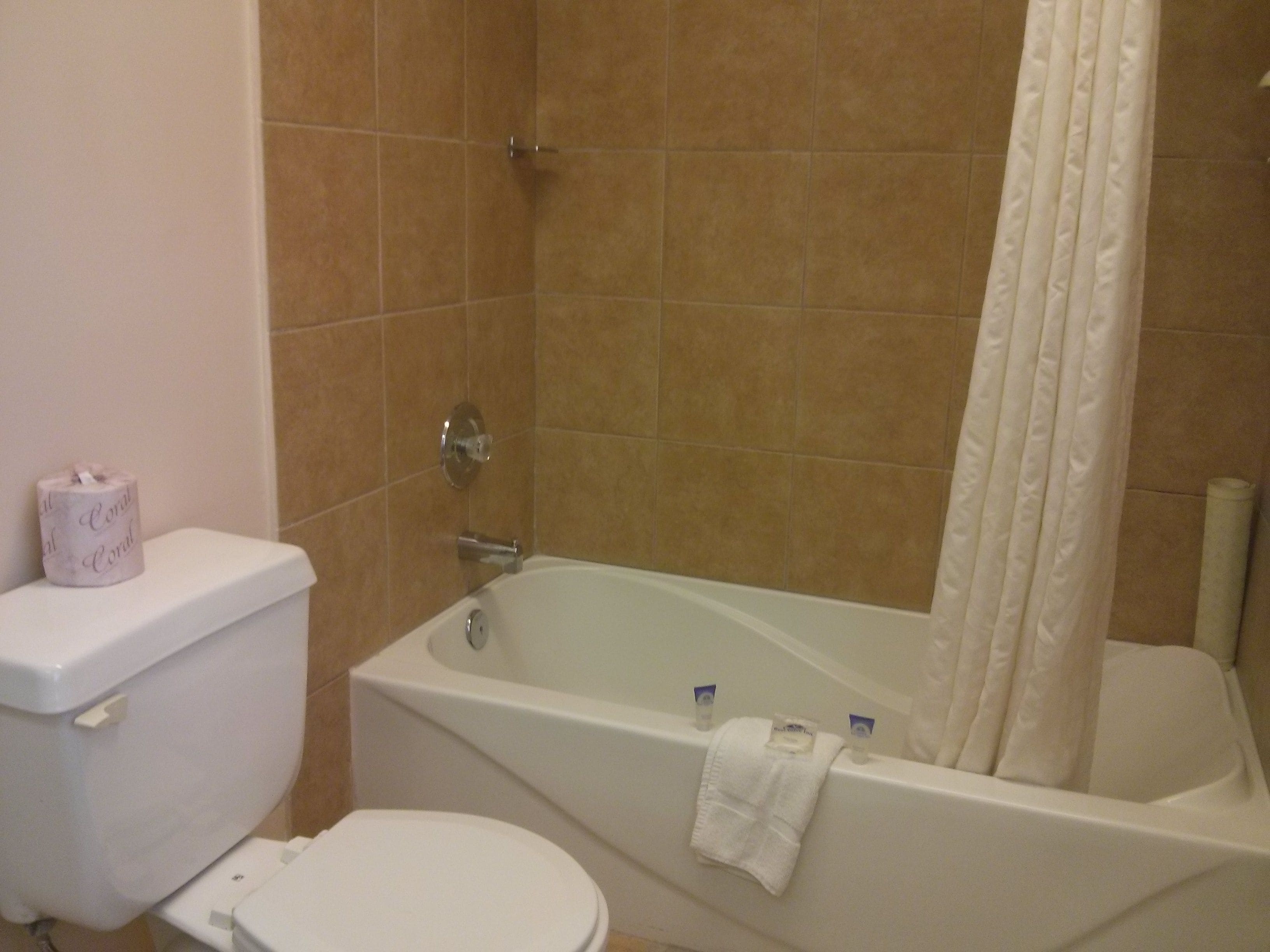 Combined shower/tub, deep soaking tub, free toiletries, towels