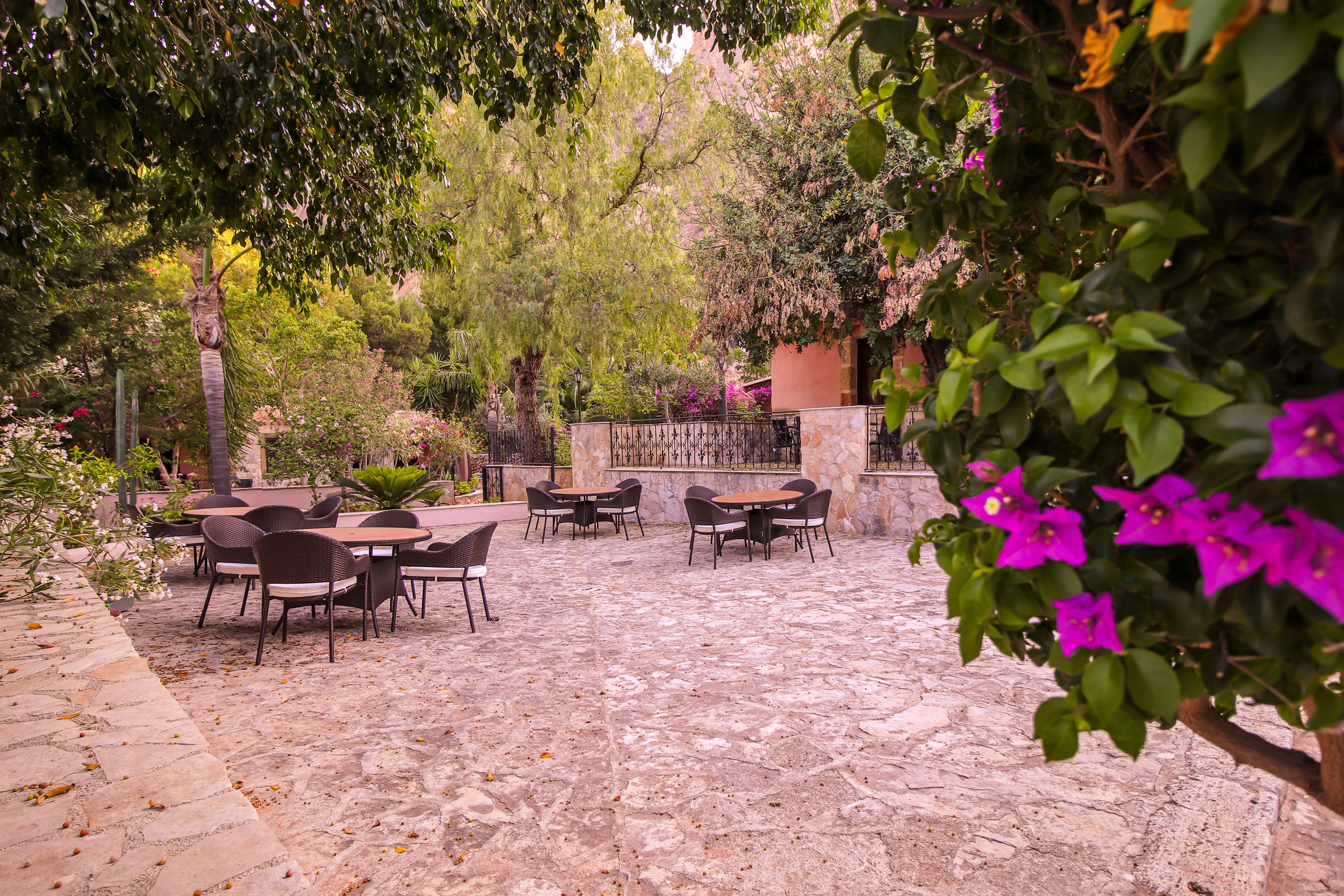 Un patio al aire libre con suelo de piedra, rodeado de abundante vegetación y plantas con flores.