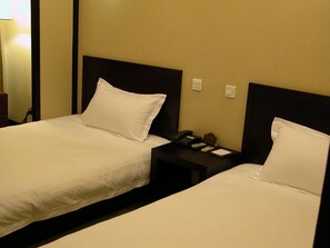 Habitación ejecutiva con 2 camas individuales