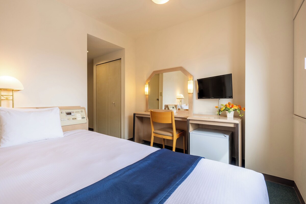 Una camera d'albergo con un letto, una scrivania, una sedia, una televisione e una lampada.
