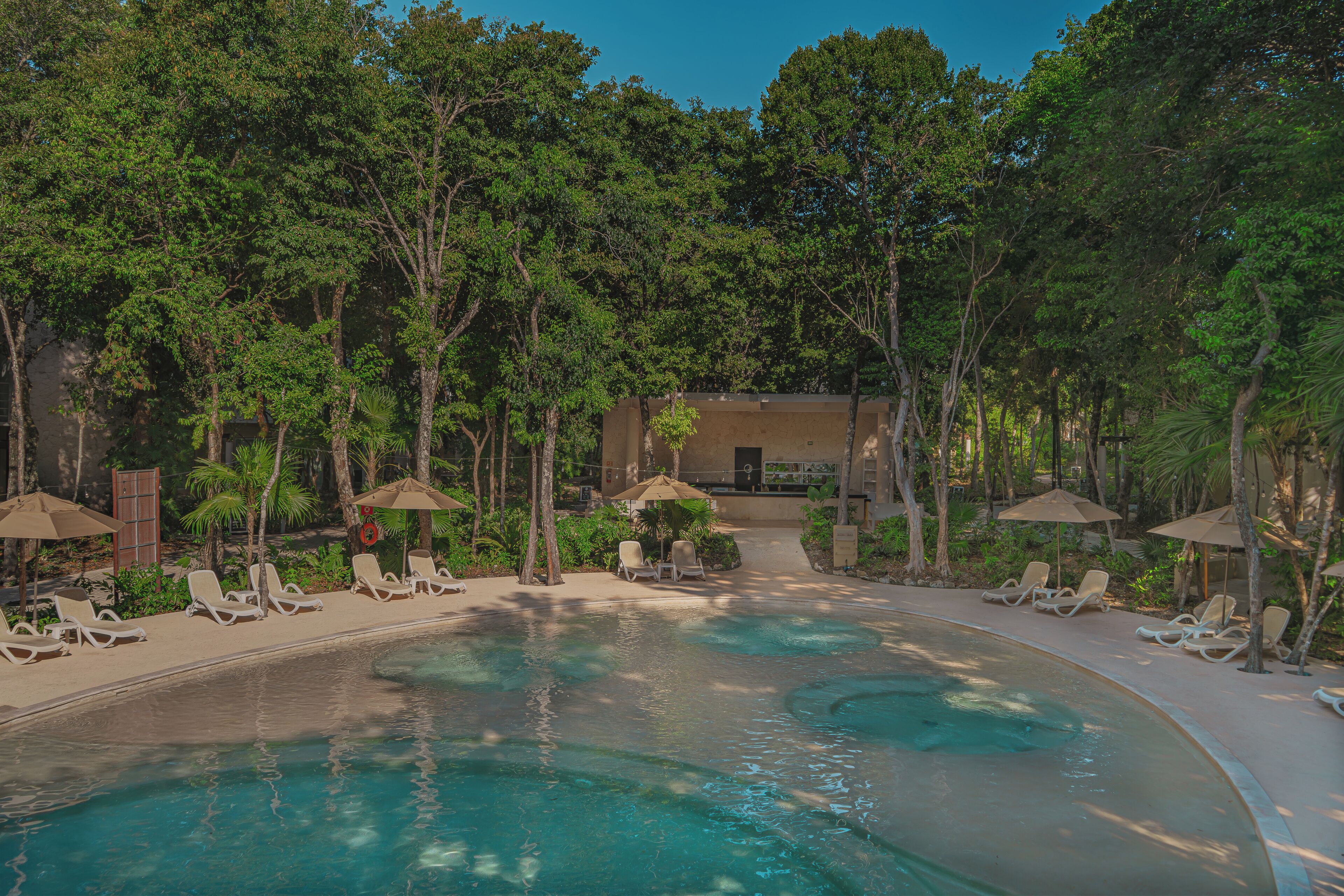 4 piscinas al aire libre, tumbonas