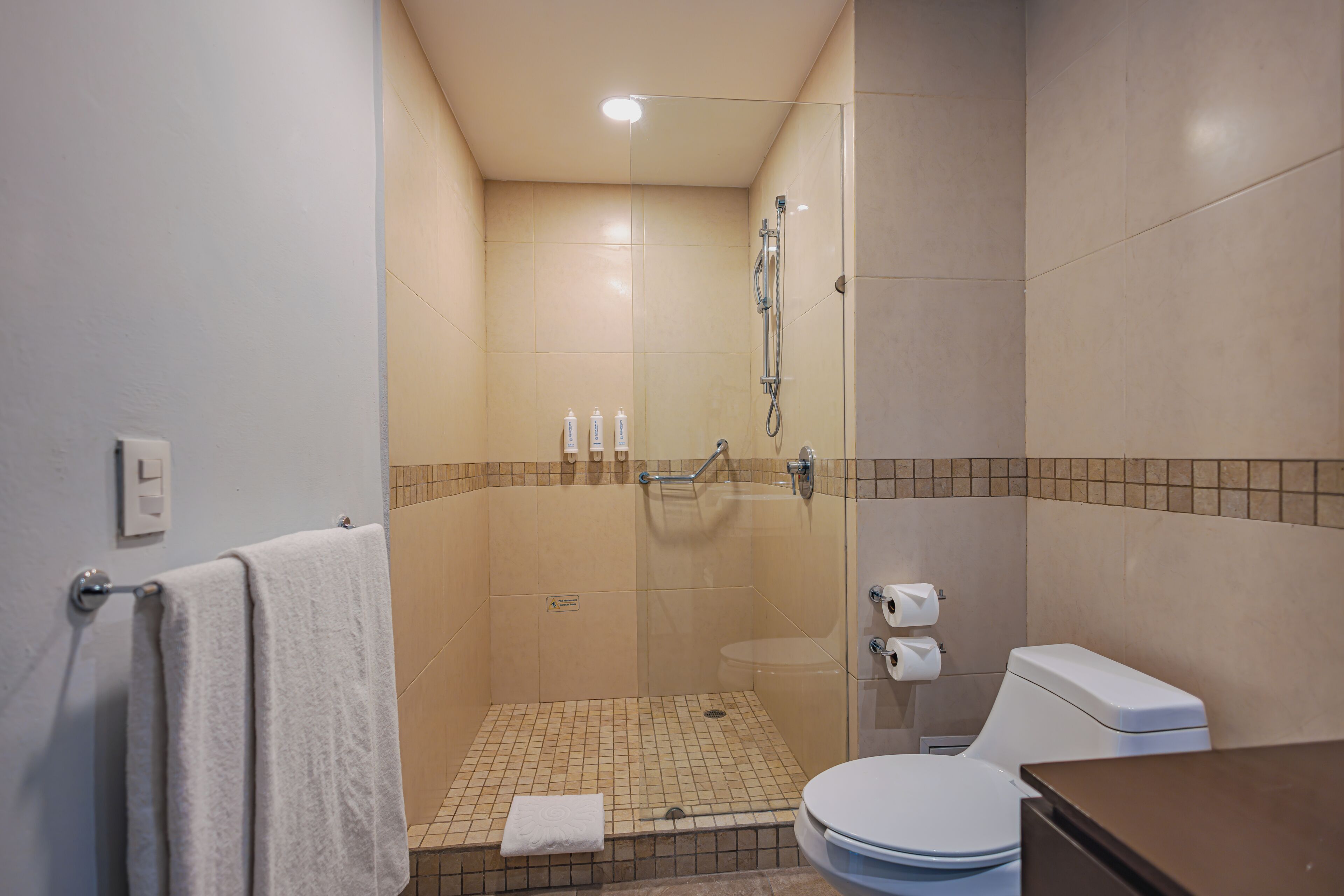 Une salle de bain avec douche, toilettes et lavabo.