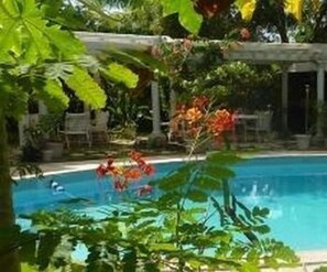En swimmingpool omgiven av frodig grönska och en täckt uteplats.