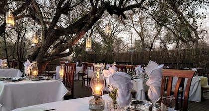 Karongwe Portfolio - Shiduli Private Game Lodge