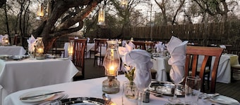 Karongwe Portfolio - Shiduli Private Game Lodge