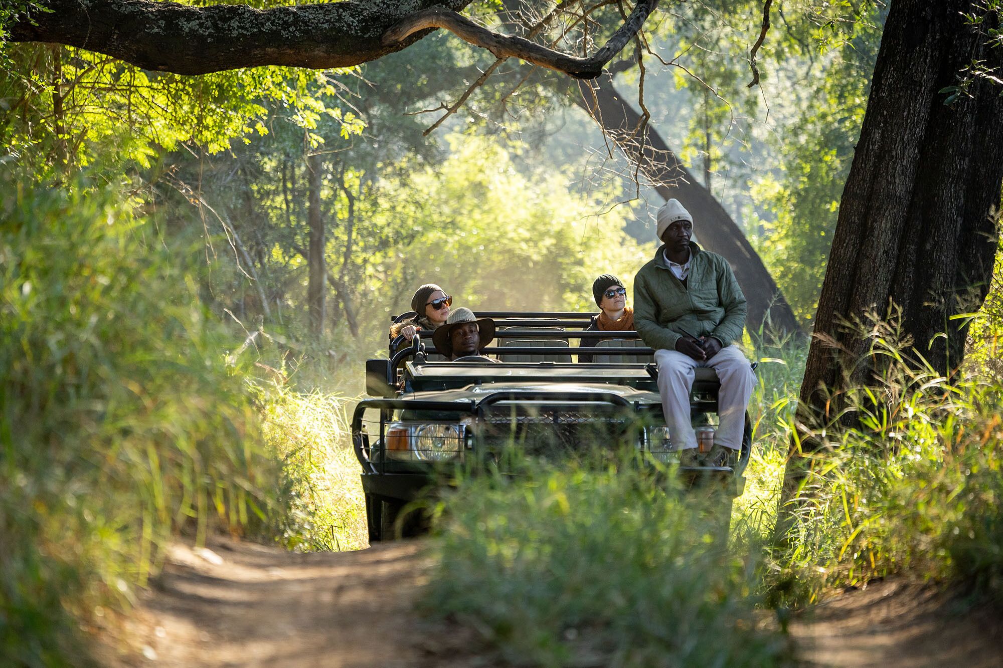 Safari