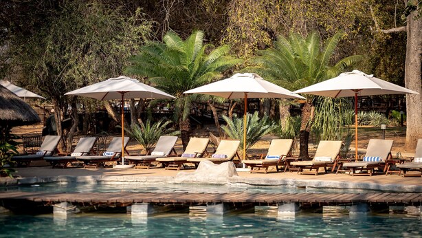 A poolside area with lounge chairs and umbrellas, surrounded by tropical vegetation. - Karongwe- Shiduli Safari Lodge (Hoedspruit)